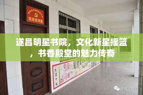 遂昌明星书院,文化新星摇篮,书香殿堂的魅力传奇