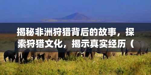 揭秘非洲狩猎背后的故事,探索狩猎文化,揭示真实经历(百度收录热点)