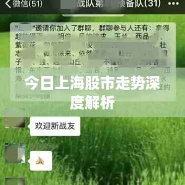 今日上海股市走势深度解析