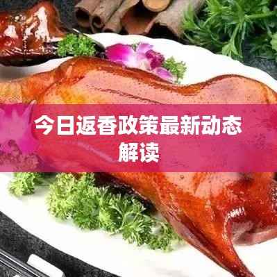 今日返香政策最新动态解读