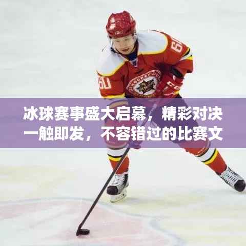 飞扬跋扈 第3页