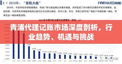青浦代理记账市场深度剖析,行业趋势、机遇与挑战