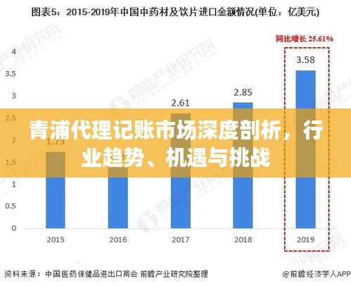 青浦代理记账市场深度剖析,行业趋势、机遇与挑战
