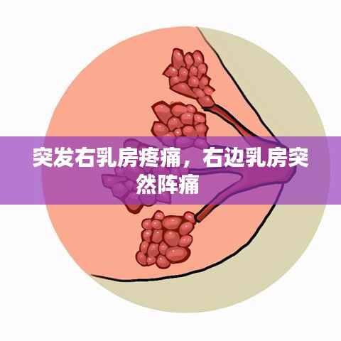 突发右乳房疼痛,右边乳房突然阵痛