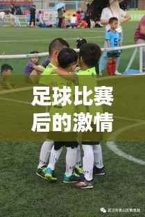 足球比赛后的激情与反思时刻