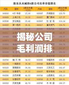 揭秘公司毛利润排名背后的成功秘诀!