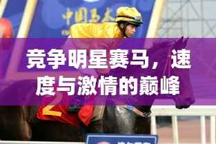 竞争明星赛马,速度与激情的巅峰对决