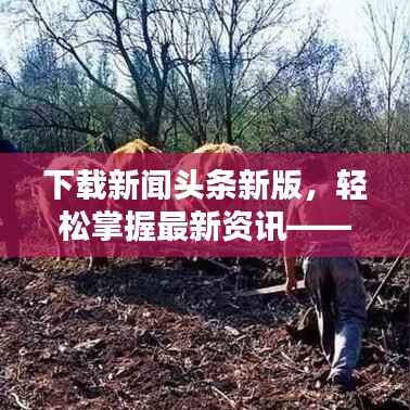 下载新闻头条新版,轻松掌握最新资讯——必备工具!