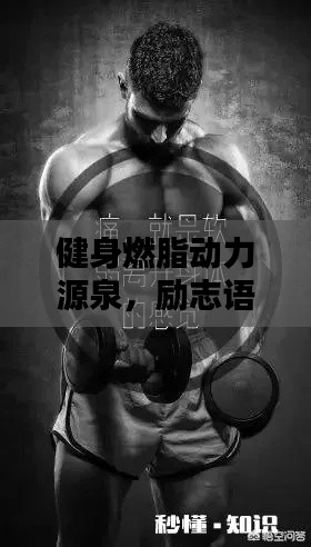 健身燃脂动力源泉,励志语录唤醒你的斗志!