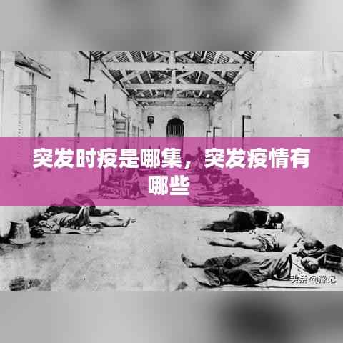 突发时疫是哪集,突发疫情有哪些