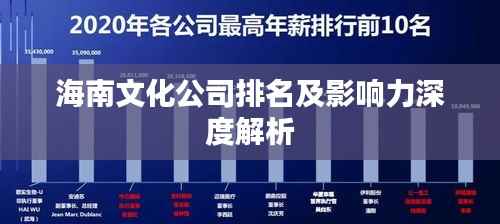 海南文化公司排名及影响力深度解析