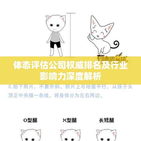体态评估公司权威排名及行业影响力深度解析
