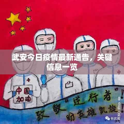 武安今日疫情最新通告,关键信息一览