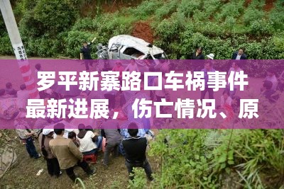 罗平新寨路口车祸事件最新进展,伤亡情况、原因调查及救援措施一网打尽