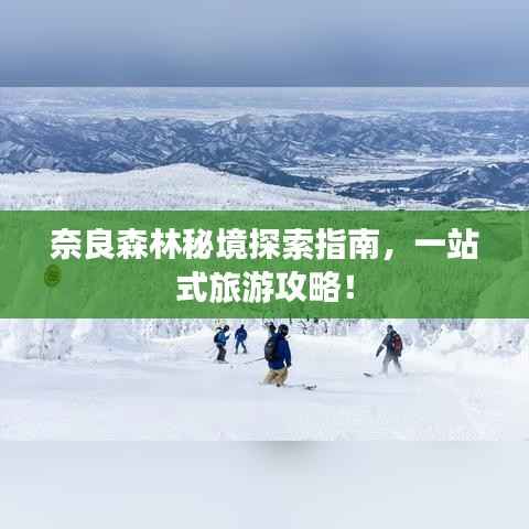 奈良森林秘境探索指南，一站式旅游攻略！