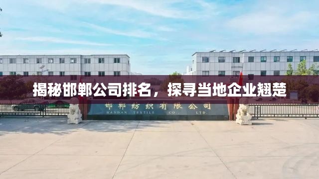 揭秘邯郸公司排名,探寻当地企业翘楚