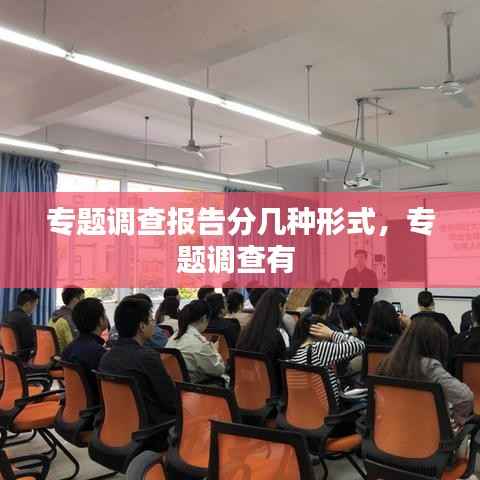 专题调查报告分几种形式,专题调查有