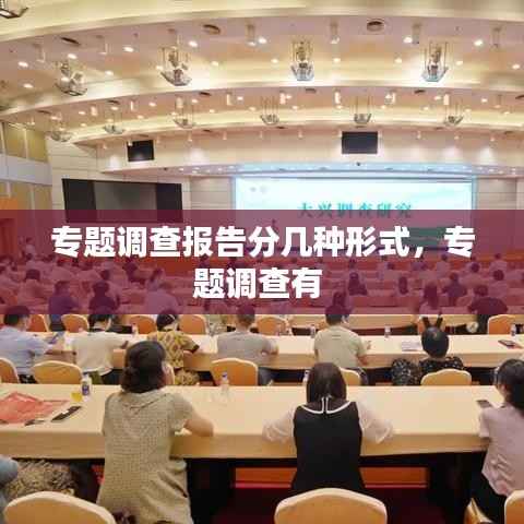 专题调查报告分几种形式,专题调查有