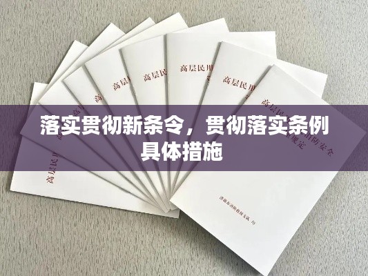 落实贯彻新条令,贯彻落实条例具体措施