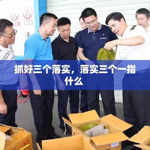 抓好三个落实,落实三个一指什么