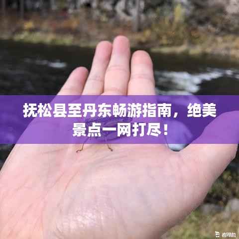 抚松县至丹东畅游指南，绝美景点一网打尽！