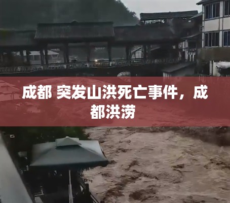 成都 突发山洪死亡事件,成都洪涝