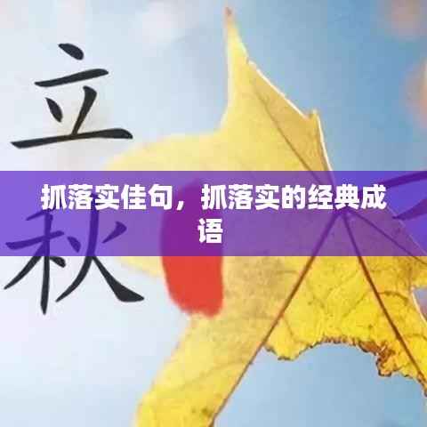 抓落实佳句,抓落实的经典成语