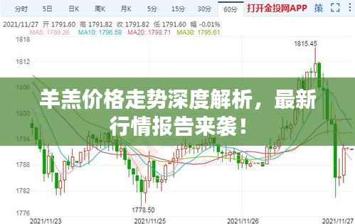 羊羔价格走势深度解析,最新行情报告来袭!