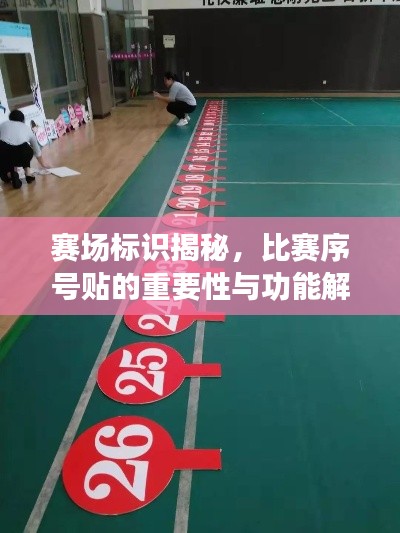 赛场标识揭秘,比赛序号贴的重要性与功能解析