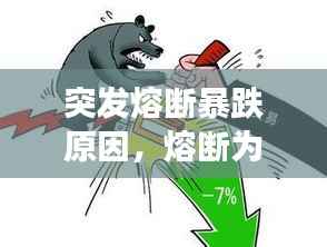 突发熔断暴跌原因,熔断为什么导致股灾