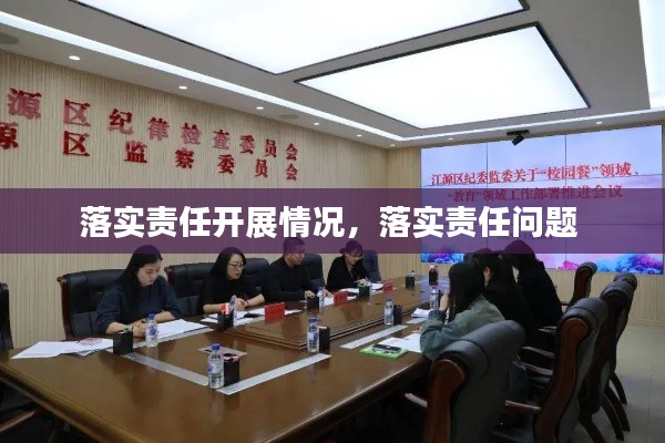 落实责任开展情况,落实责任问题