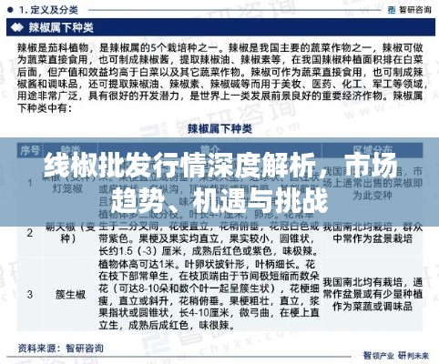 线椒批发行情深度解析,市场趋势、机遇与挑战