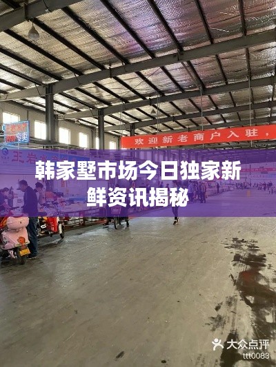 韩家墅市场今日独家新鲜资讯揭秘