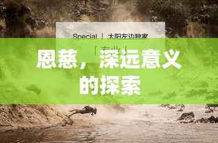 恩慈,深远意义的探索