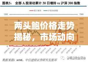 两头鲍价格走势揭秘,市场动向与影响因素深度解析