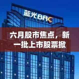 六月股市焦点,新一批上市股票掀起市场热潮