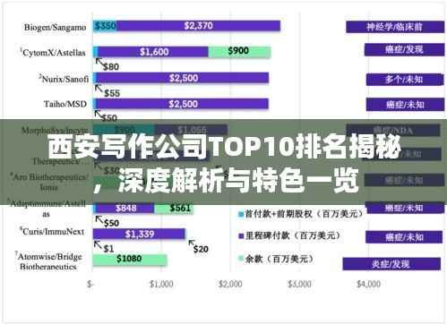 西安写作公司TOP10排名揭秘,深度解析与特色一览