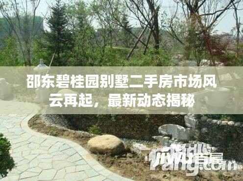 邵东碧桂园别墅二手房市场风云再起,最新动态揭秘