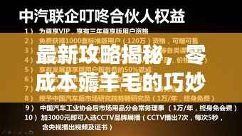 最新攻略揭秘,零成本薅羊毛的巧妙利用之道