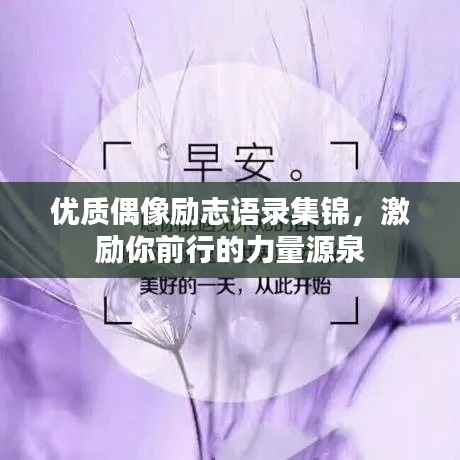 优质偶像励志语录集锦,激励你前行的力量源泉