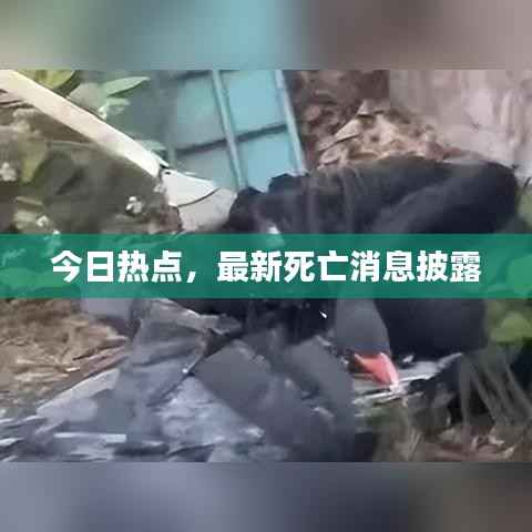 今日热点,最新死亡消息披露