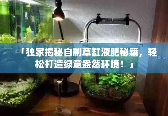 「独家揭秘自制草缸液肥秘籍,轻松打造绿意盎然环境!」
